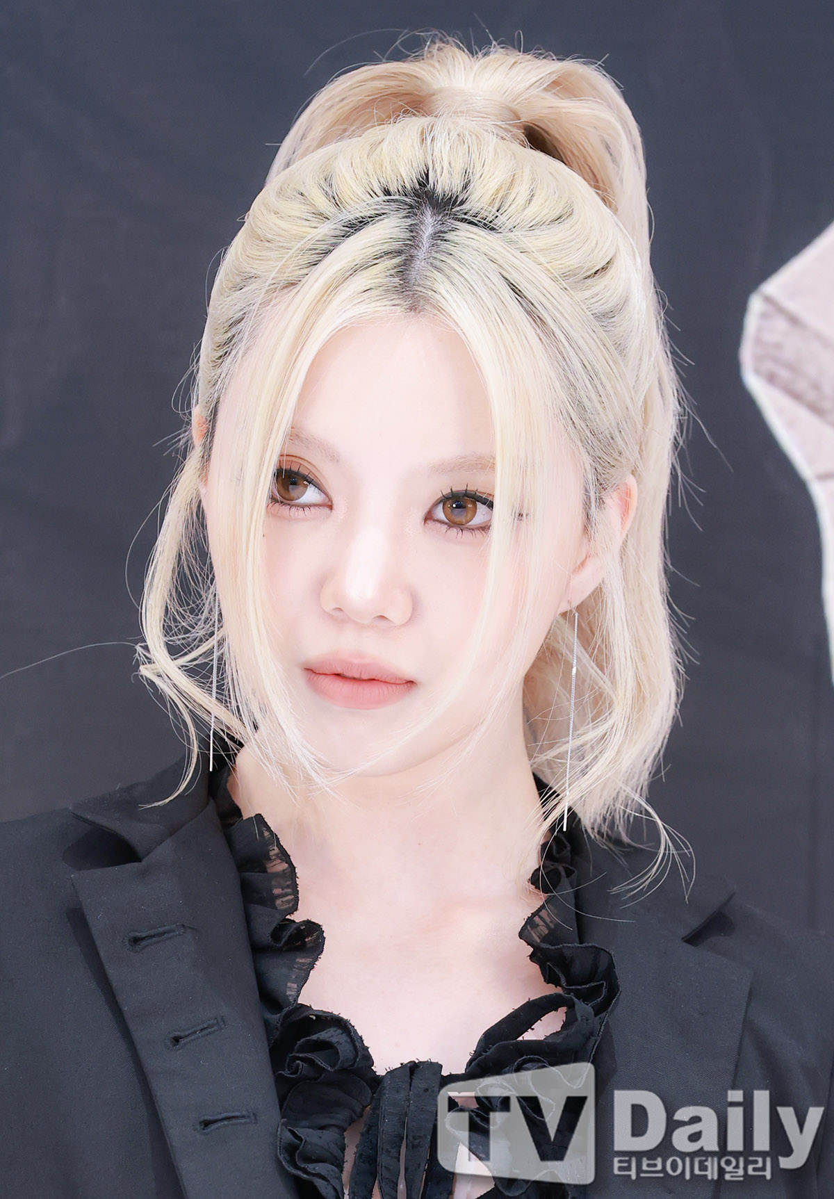 티브이데일리 포토