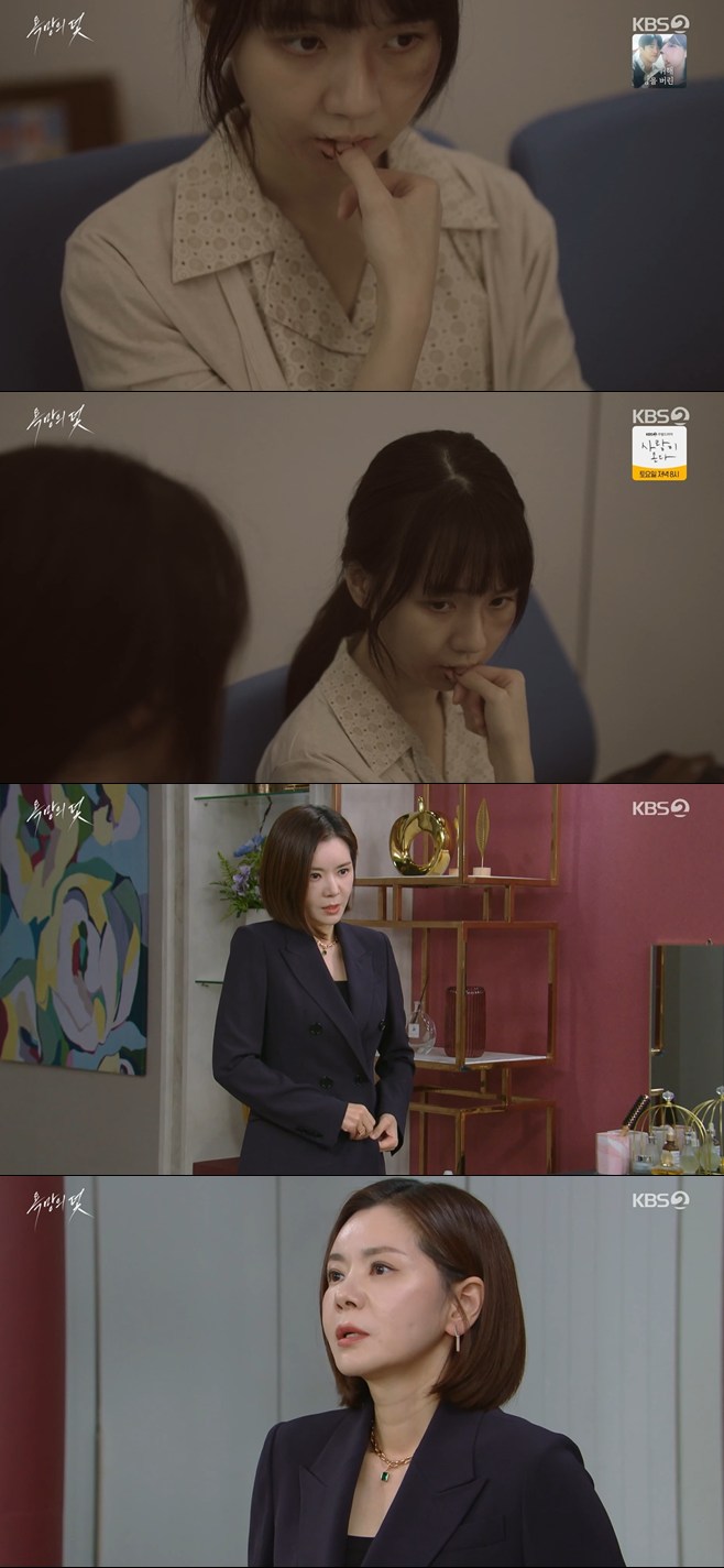 티브이데일리 포토
