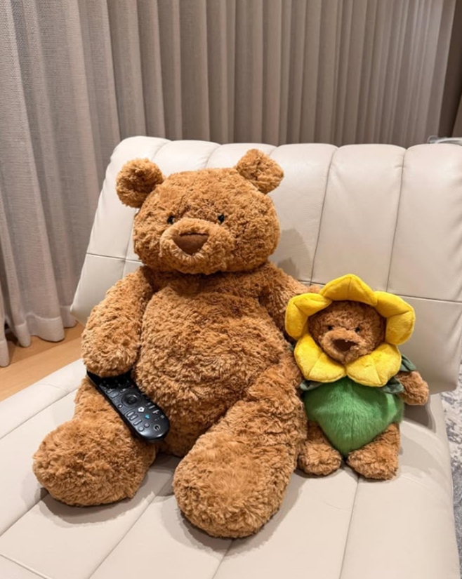 티브이데일리 포토