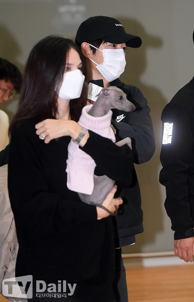 티브이데일리 포토