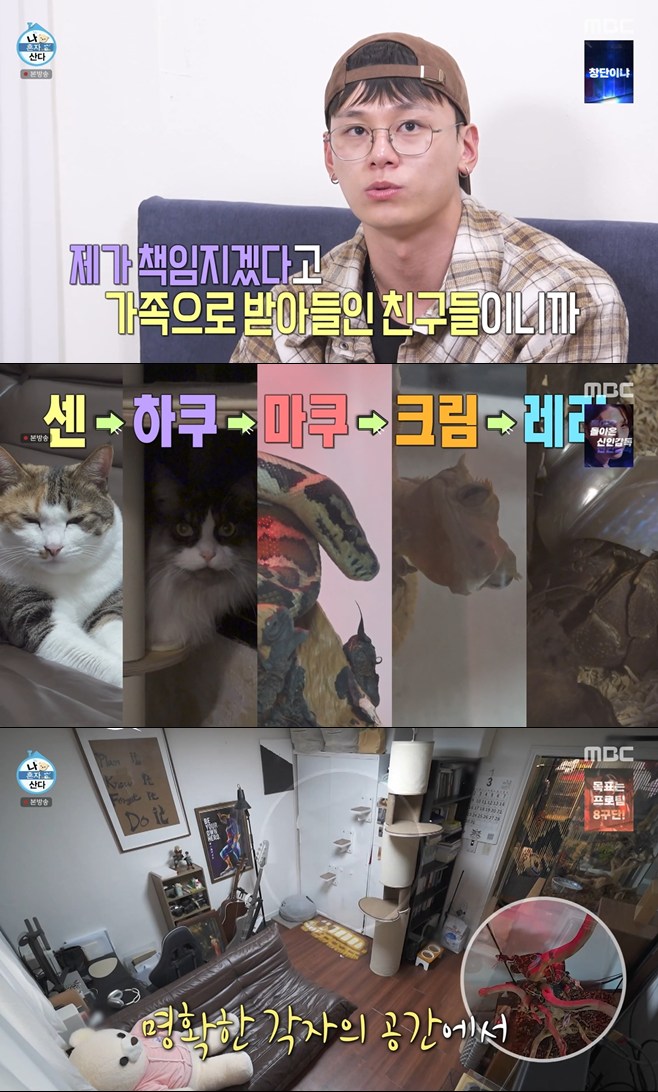 티브이데일리 포토