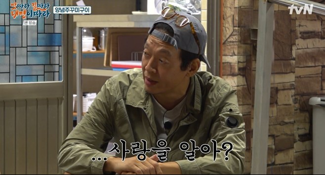 티브이데일리 포토