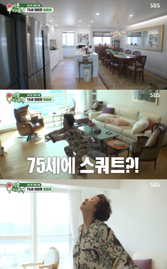 티브이데일리 포토