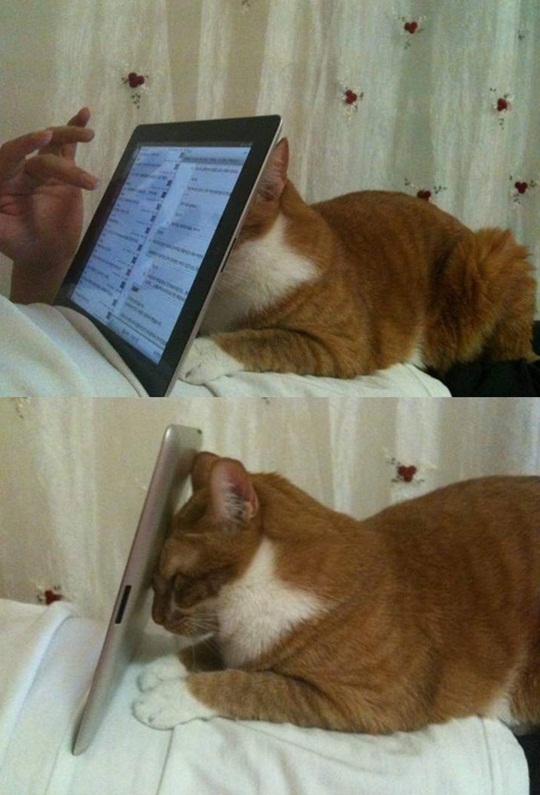  е ħ