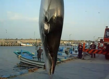 ���� ��ũ���� ��ȹ