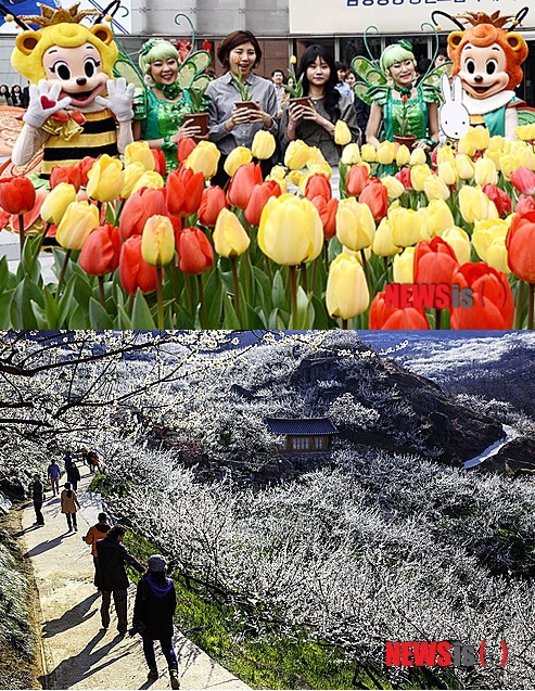 Æ«¸³¡¤¸ÅÈ ÃàÁ¦