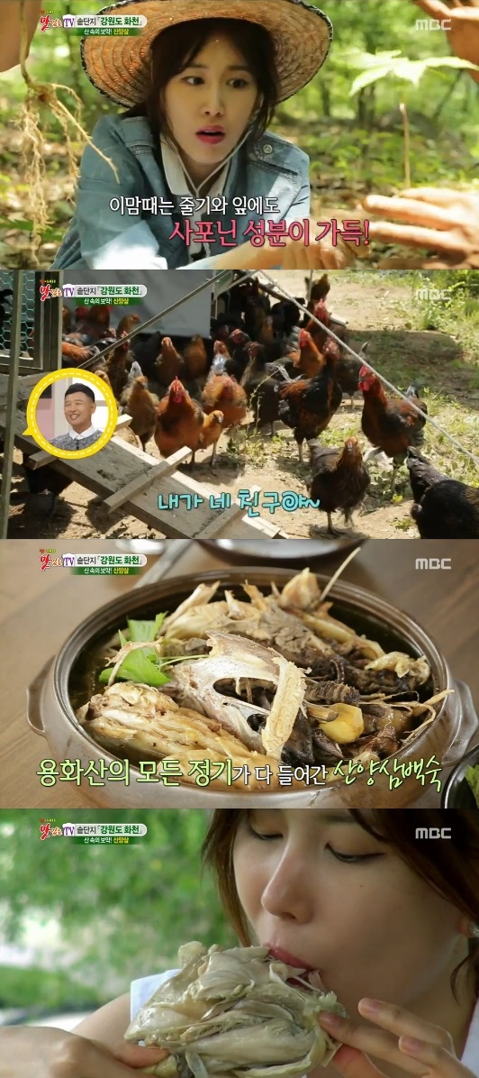 ���ִ�TV ������ �Ƴ��