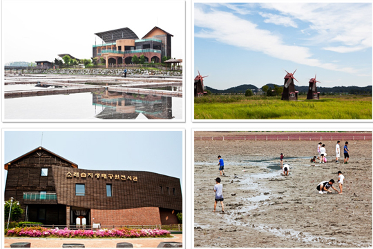 ƼºêÀ̵¥Àϸ® Æ÷Åä