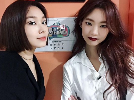 ���̸�Ʋ�ڷ�����, ������, ������, �ּ���