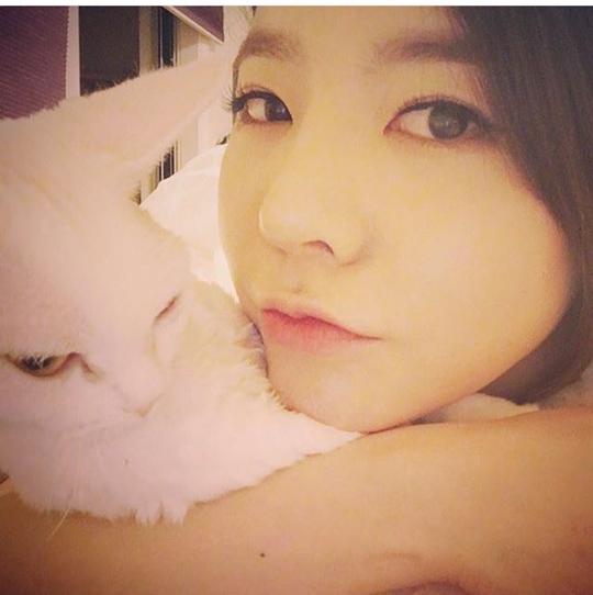 �ҳ�ô� ���