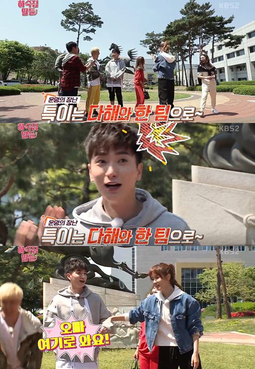 �ϼ��� ���� �̴��� �̹̼� �ڽÿ� �ڳ��� �̼��� ����ȣ �� ��Ư