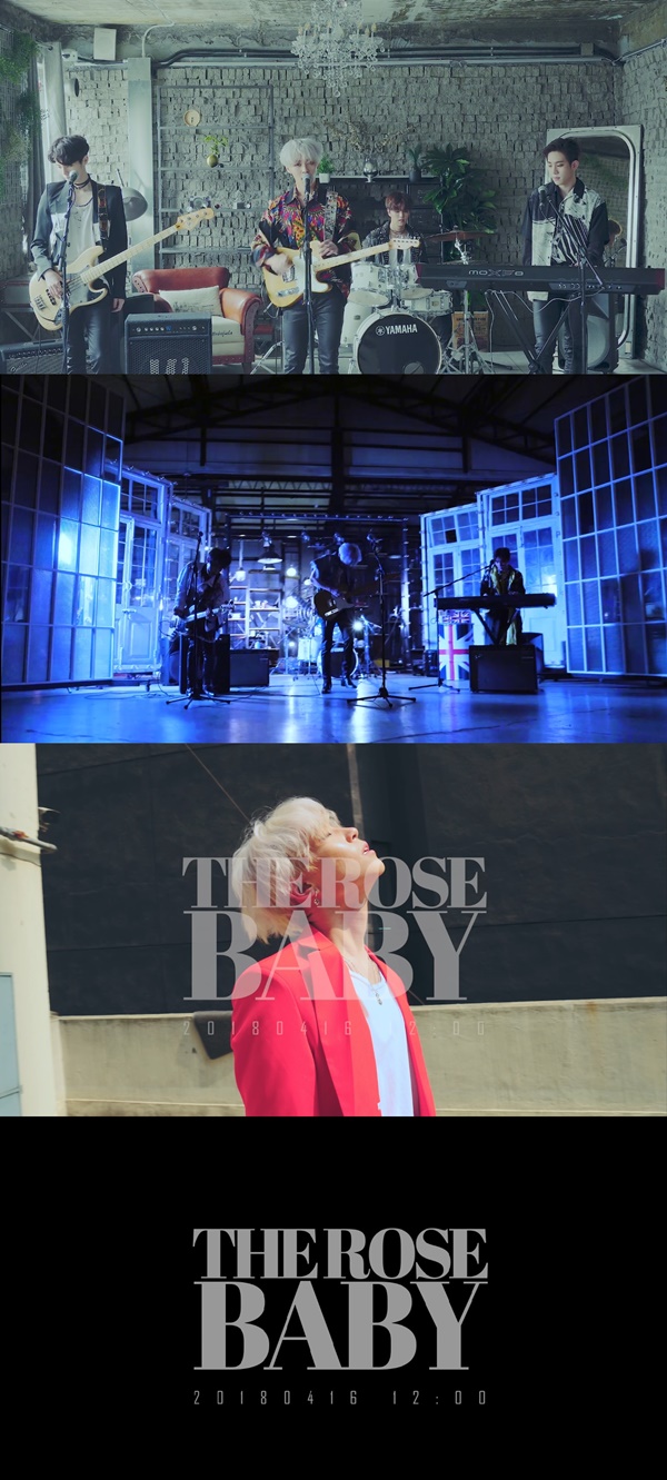 ´õ ·ÎÁî Æ¼Àú