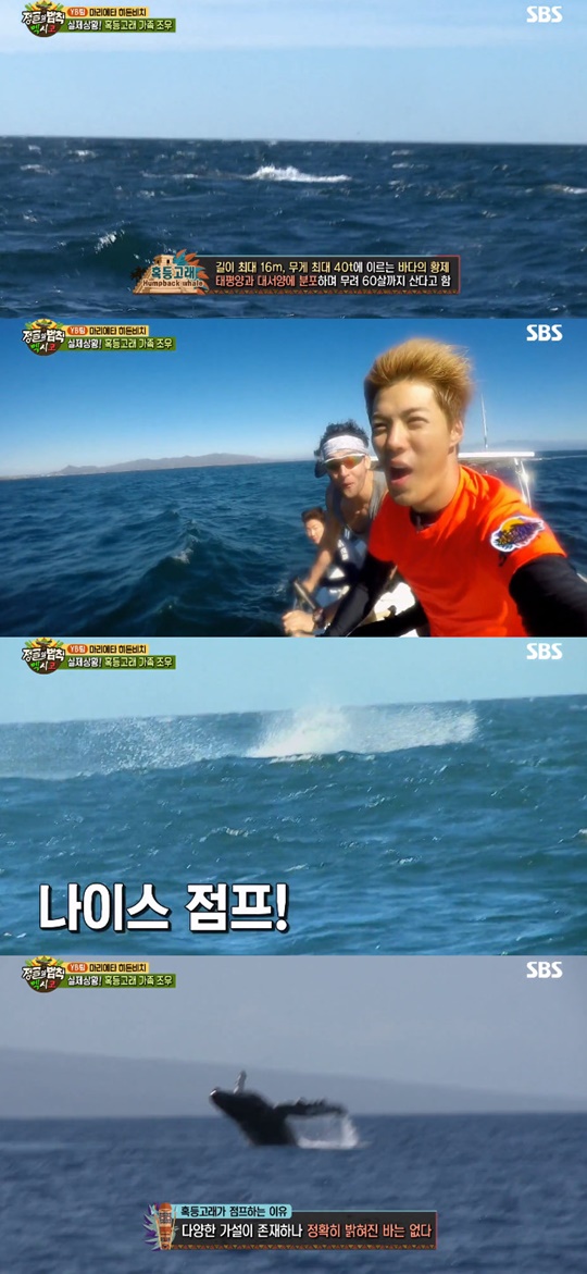 ������ ��Ģ Ȥ����� ���� ���