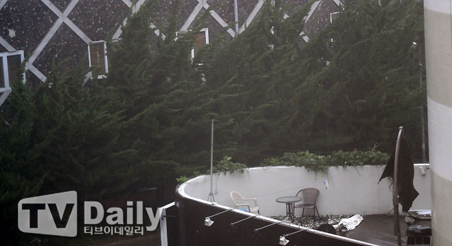 Ƽ���̵��ϸ� ����