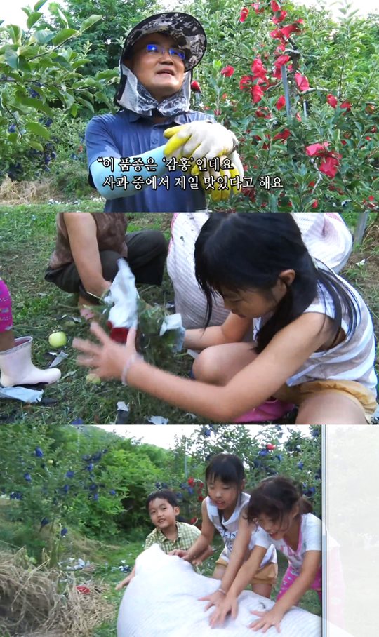 �ΰ�����