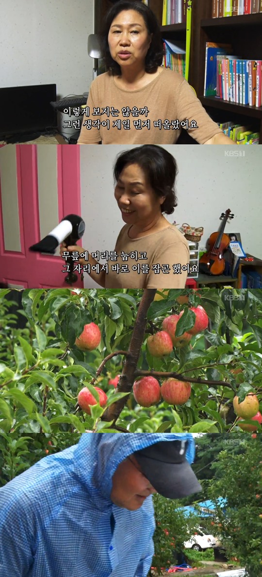 �ΰ�����