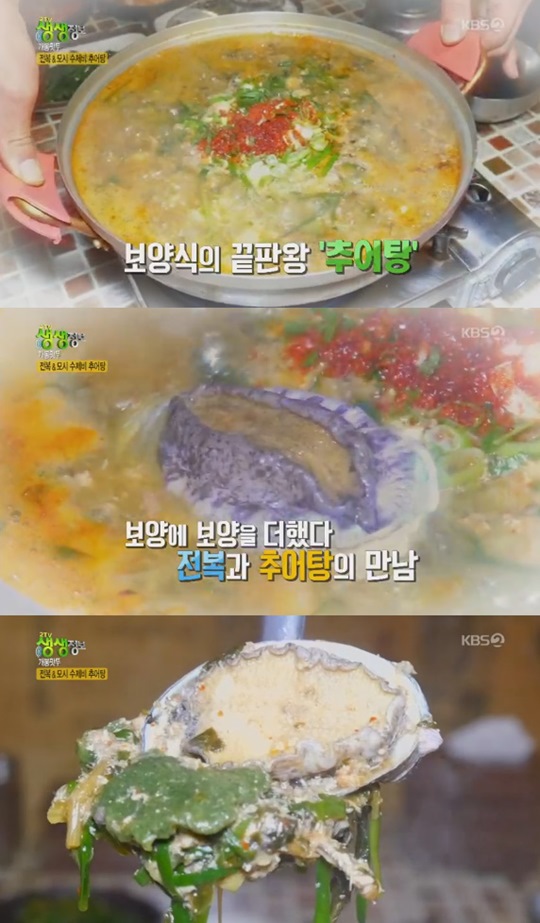 2TV �������� ���� �߾��� ��� ������