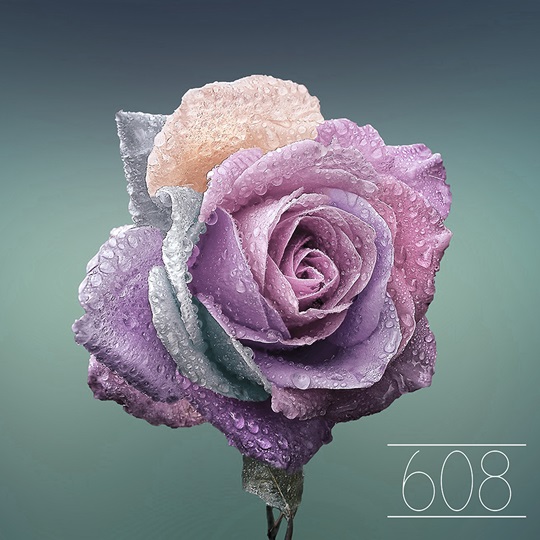 ε ׷ 608