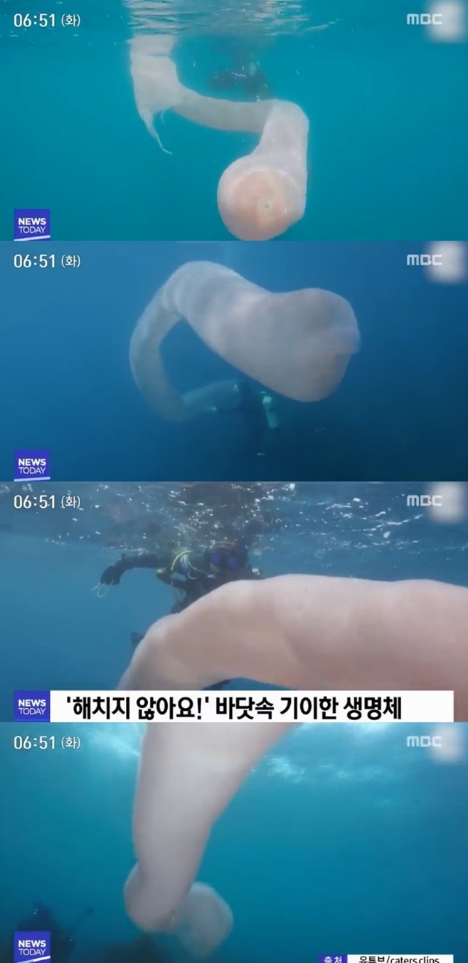 ҿ췷