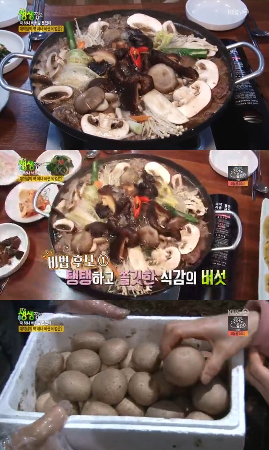 2TV �������� ���̹�������