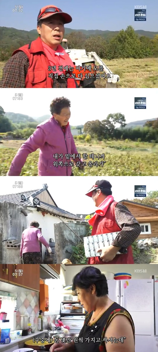 �ΰ�����