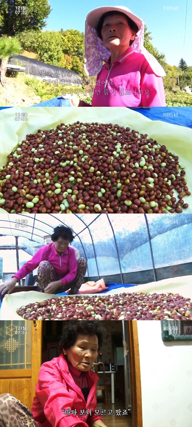 �ΰ�����