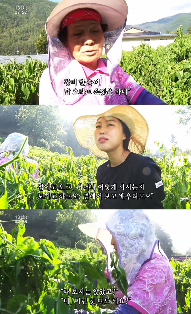 �ΰ�����