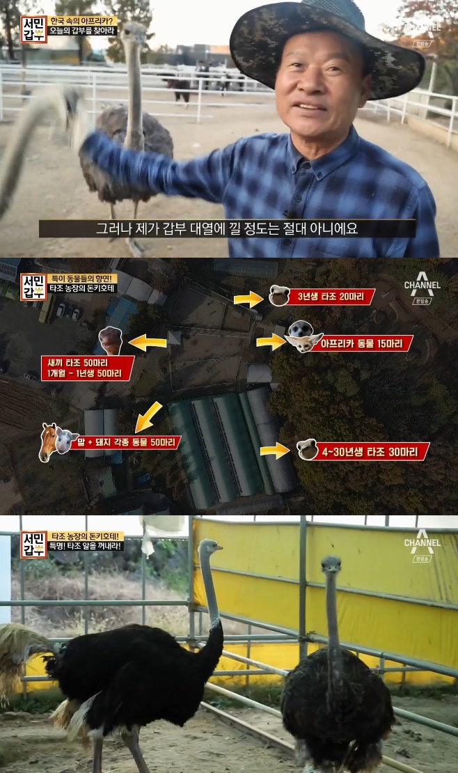 ���ΰ��� Ÿ��