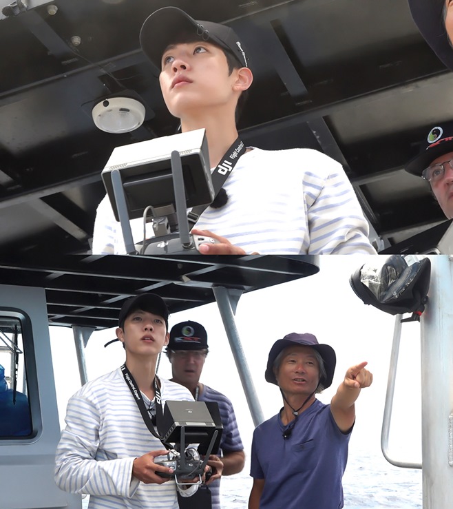 ������ ���Ȱ