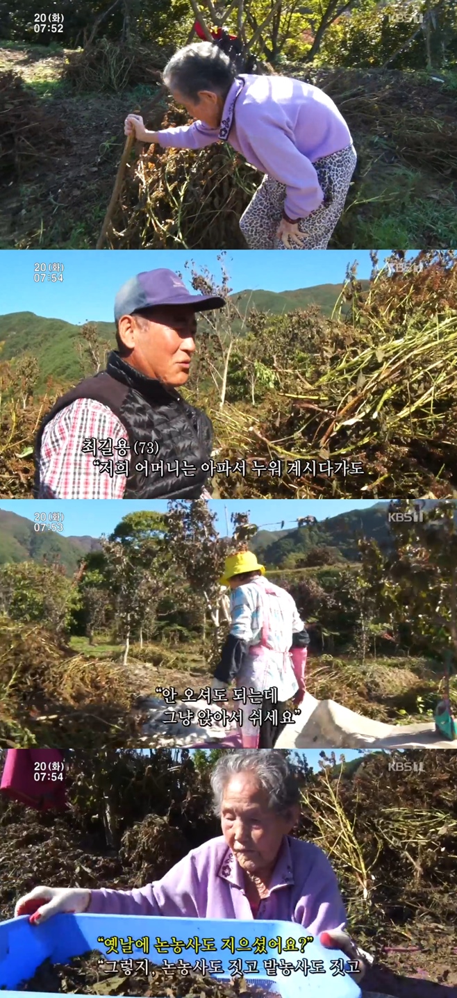 �ΰ�����