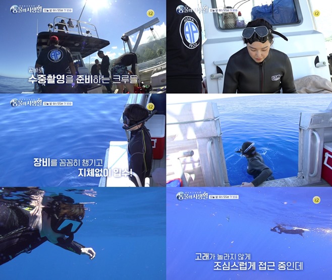 ������ ���Ȱ