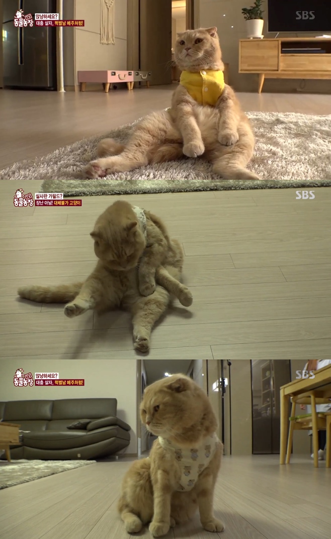 ��������