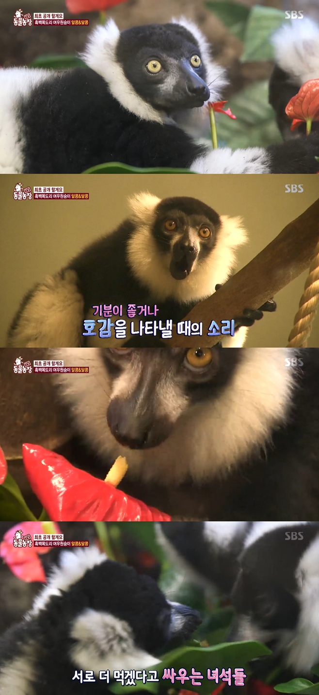 �������� ���񵵸� ���������