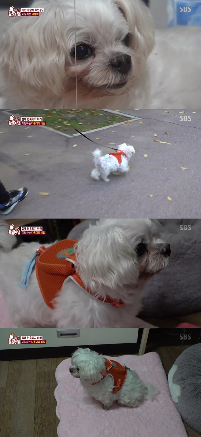 ��������