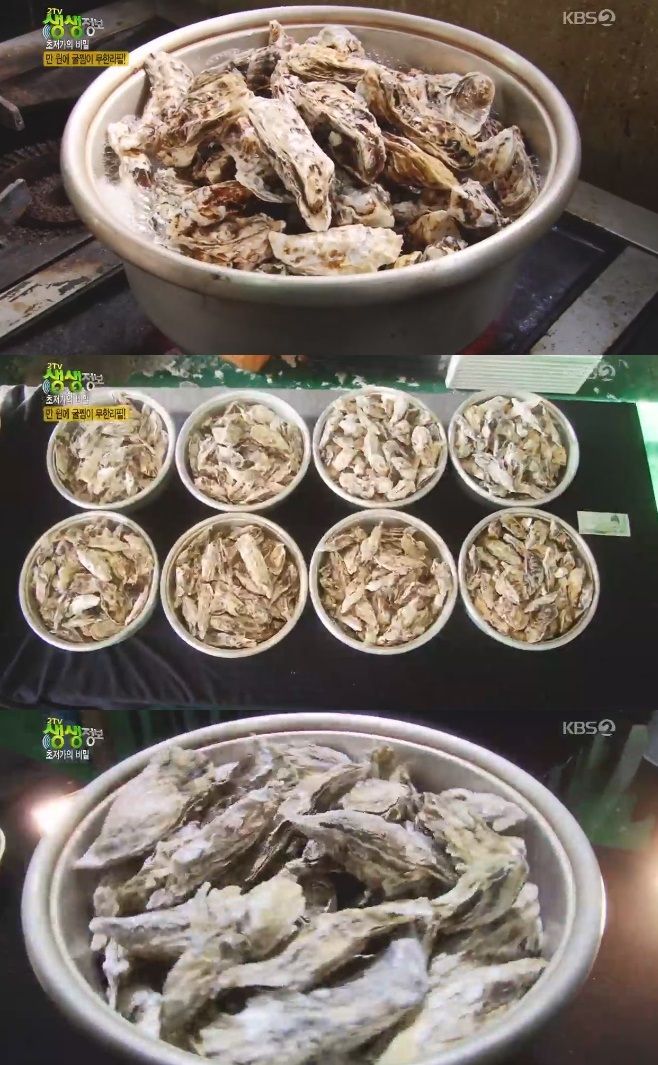 2TV �������� ���� ���Ѹ���