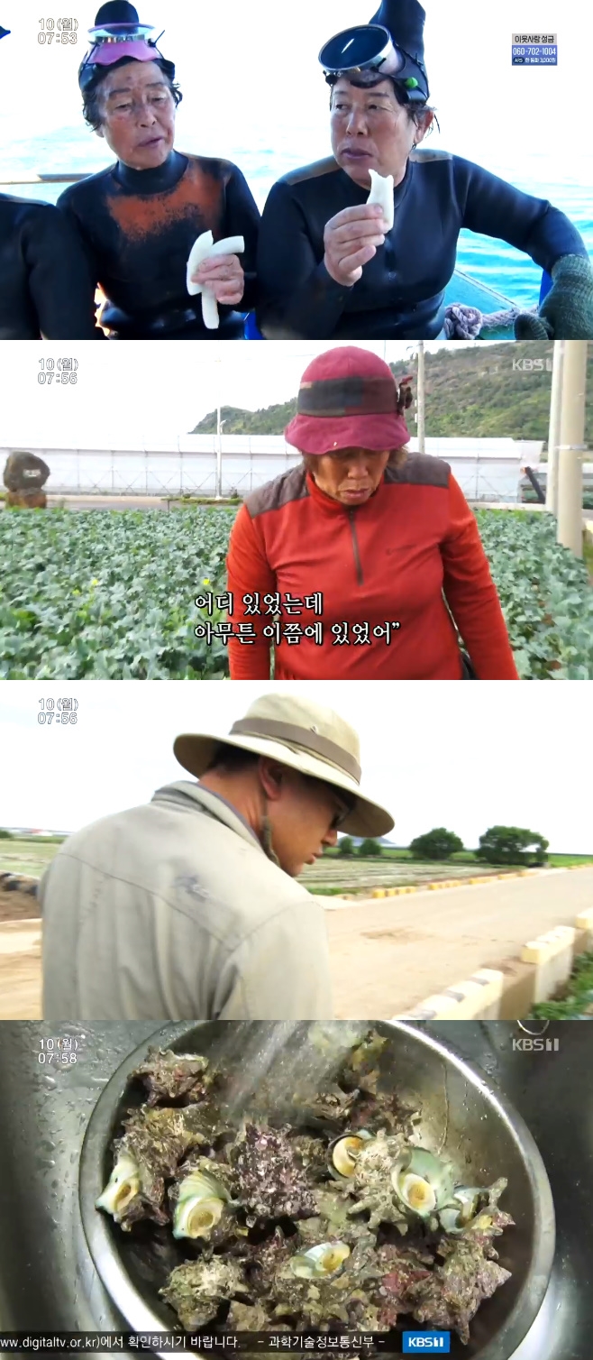 �ΰ����� ���� ������