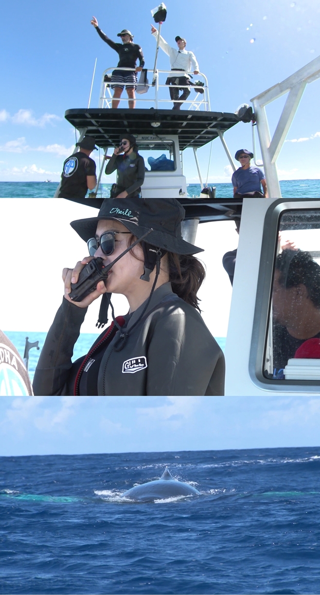 ������ ���Ȱ