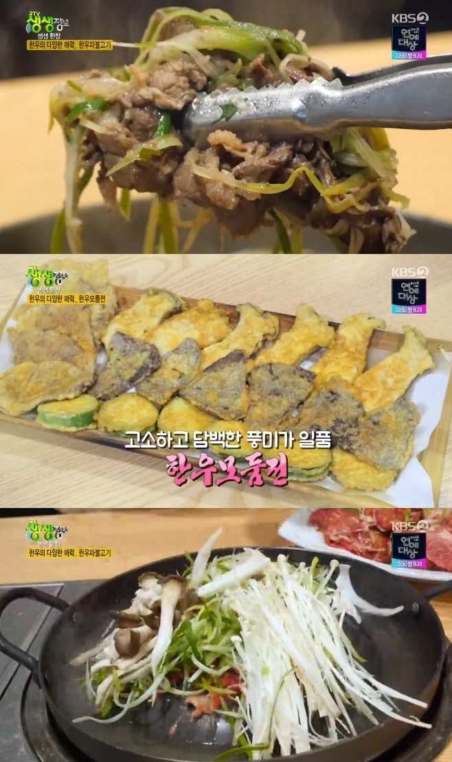 2TV �������� �ѿ��ĺҰ����ѿ�����