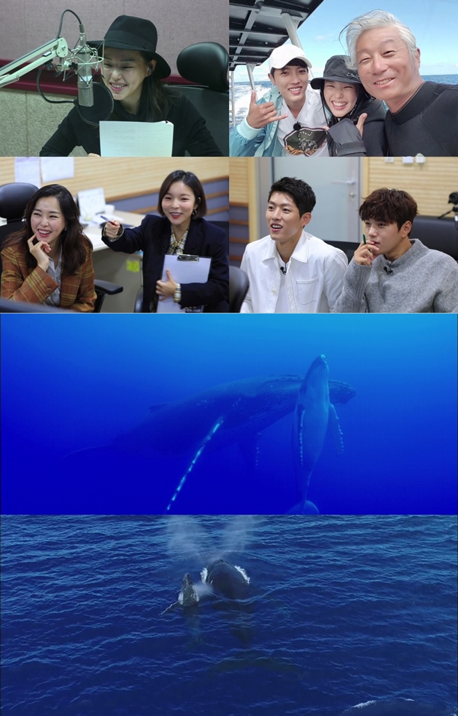 µ¿¹°ÀÇ »ç»ýȰ