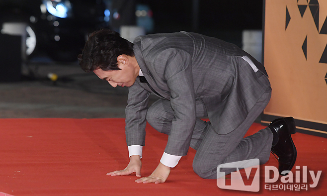 ƼºêÀ̵¥Àϸ® Æ÷Åä