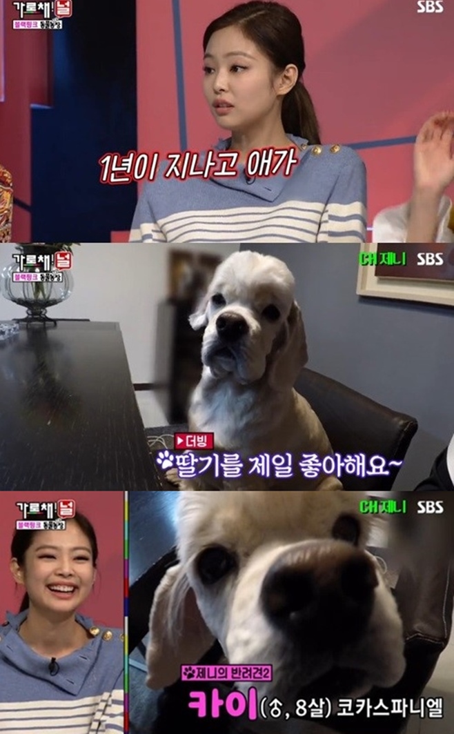 ī�� ����