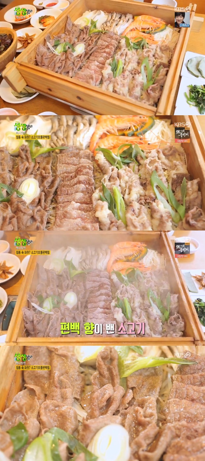 2TV �������� �ýø��� �Ұ�����������