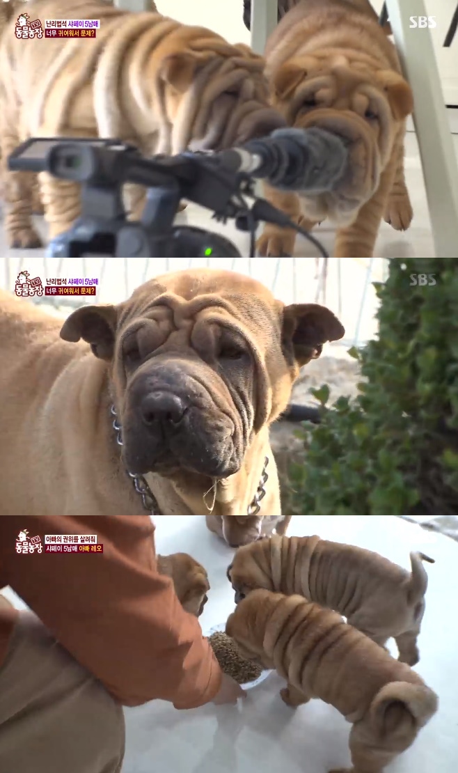 ��������