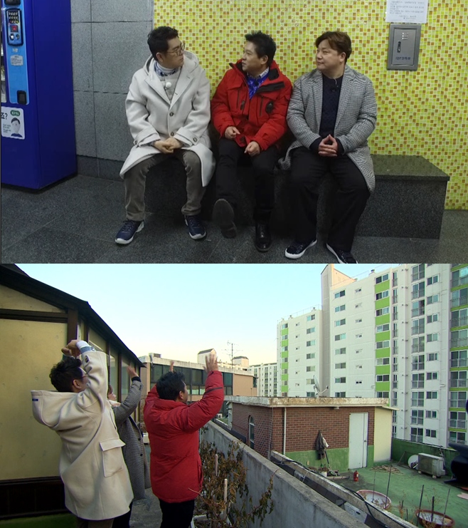 TV´Â »ç¶ûÀ» ½Æ°í