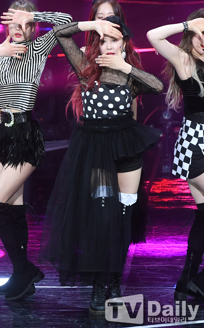 ƼºêÀ̵¥Àϸ® Æ÷Åä