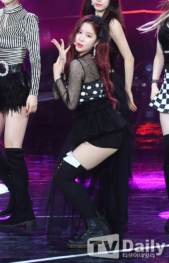 ƼºêÀ̵¥Àϸ® Æ÷Åä