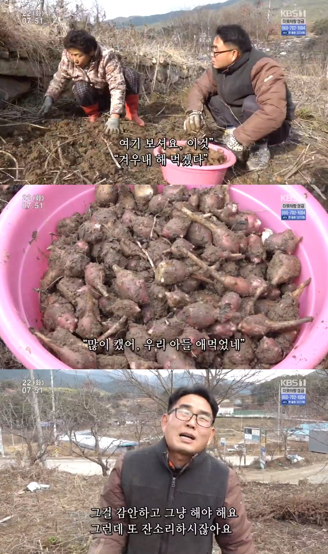 �ΰ�����