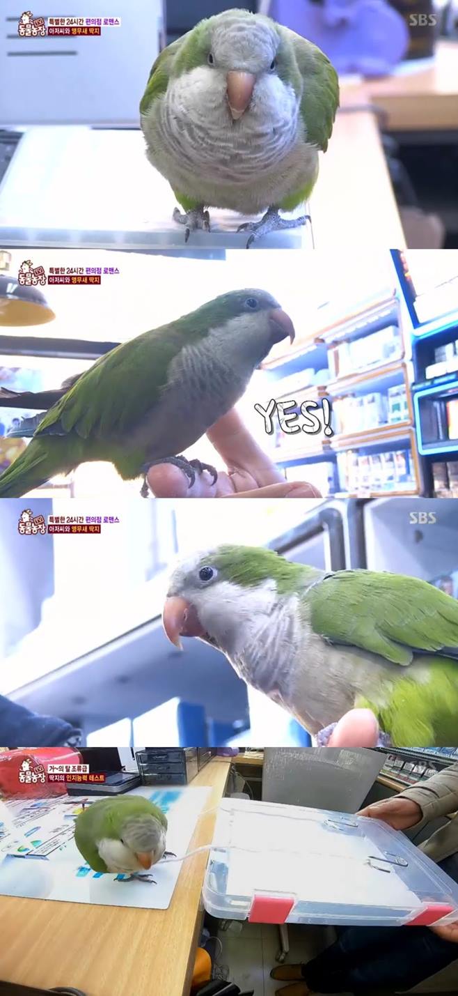  ޹ 