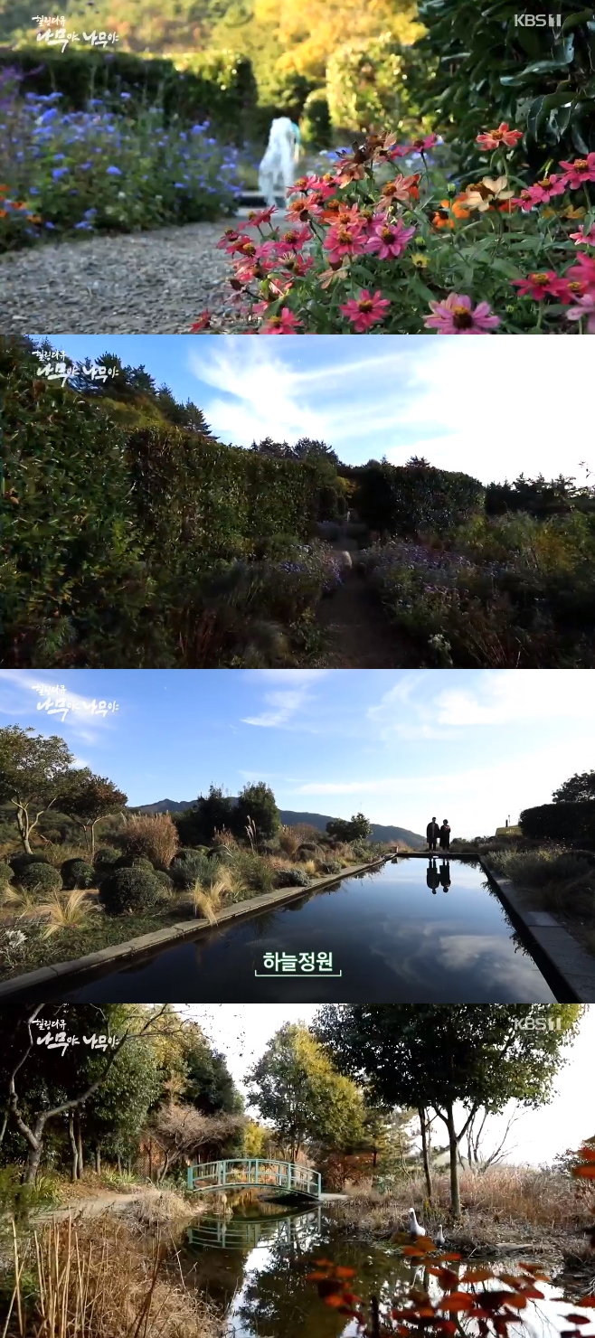 ���� �ƿֳ��� ��