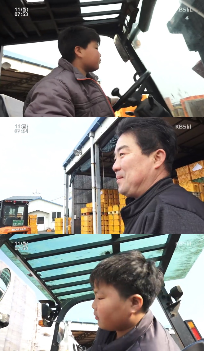 �ΰ�����